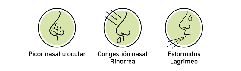 Síntomas de la rinitis 